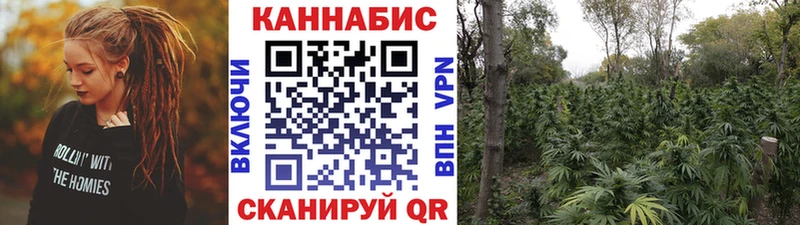 Где найти наркотики Жердевка Галлюциногенные грибы Мефедрон ЭКСТАЗИ Конопля Cocaine ГАШИШ